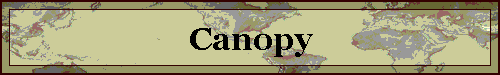 Canopy
